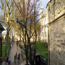 Tower of London  IMG_0579.JPG